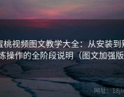 蜜桃视频图文教学大全：从安装到熟练操作的全阶段说明（图文加强版）