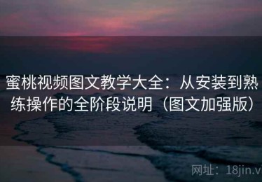蜜桃视频图文教学大全：从安装到熟练操作的全阶段说明（图文加强版）