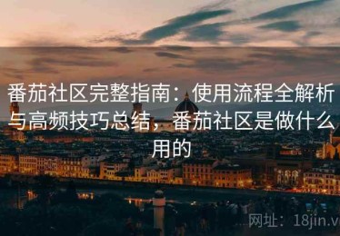 番茄社区完整指南：使用流程全解析与高频技巧总结，番茄社区是做什么用的