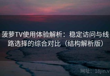 菠萝TV使用体验解析：稳定访问与线路选择的综合对比（结构解析版）