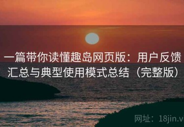 一篇带你读懂趣岛网页版：用户反馈汇总与典型使用模式总结（完整版）