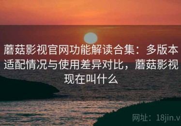 蘑菇影视官网功能解读合集：多版本适配情况与使用差异对比，蘑菇影视现在叫什么