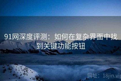 91网深度评测：如何在复杂界面中找到关键功能按钮