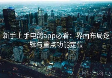 新手上手电鸽app必看：界面布局逻辑与重点功能定位