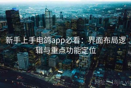 新手上手电鸽app必看：界面布局逻辑与重点功能定位