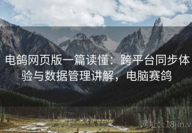 电鸽网页版一篇读懂：跨平台同步体验与数据管理讲解，电脑赛鸽