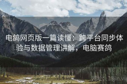 电鸽网页版一篇读懂：跨平台同步体验与数据管理讲解，电脑赛鸽