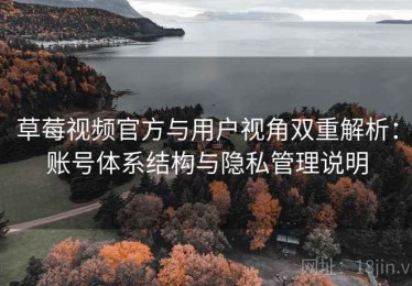 草莓视频官方与用户视角双重解析：账号体系结构与隐私管理说明
