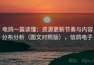 电鸽一篇读懂：资源更新节奏与内容分布分析（图文对照版），信鸽电子