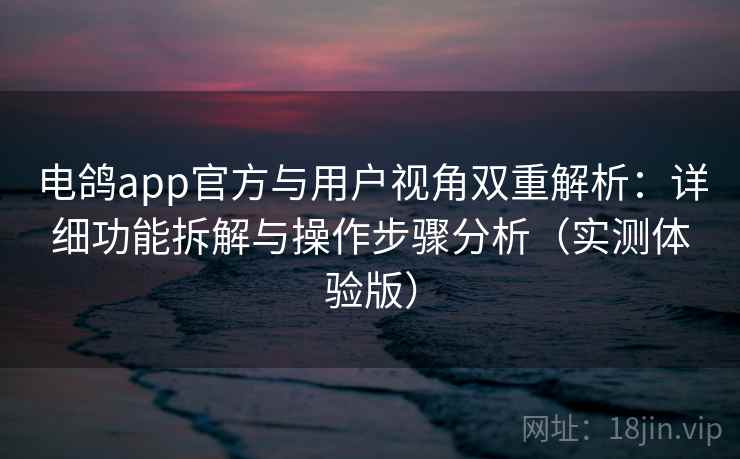 电鸽app官方与用户视角双重解析：详细功能拆解与操作步骤分析（实测体验版）