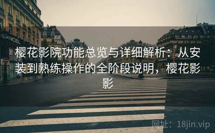 樱花影院功能总览与详细解析：从安装到熟练操作的全阶段说明，樱花影影