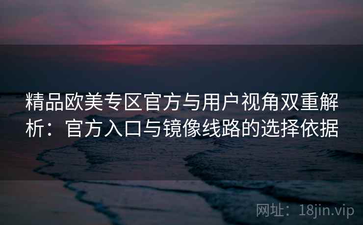 精品欧美专区官方与用户视角双重解析：官方入口与镜像线路的选择依据