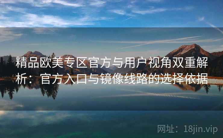 精品欧美专区官方与用户视角双重解析：官方入口与镜像线路的选择依据