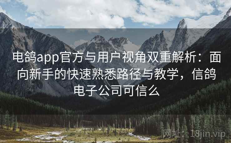 电鸽app官方与用户视角双重解析:面向新手的快速熟悉路径与教学,信鸽电子公司可信么 电鸽app官方与用户视角双重解析:面向新手的快速熟悉路径与教学,信鸽电子公司可信么