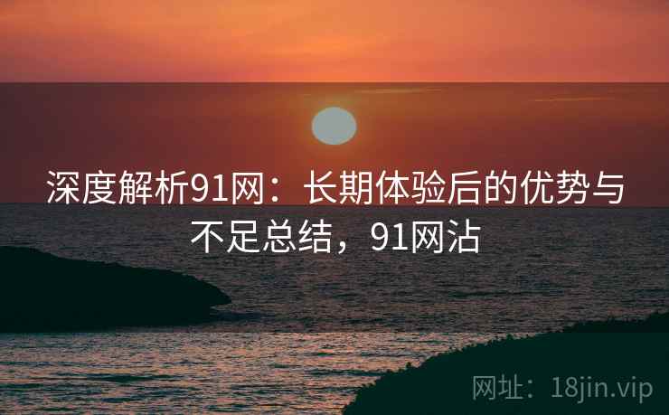 深度解析91网:长期体验后的优势与不足总结,91网沾 深度解析91网:长期体验后的优势与不足总结,91网沾