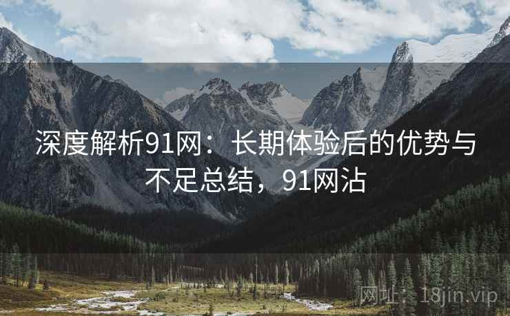 深度解析91网:长期体验后的优势与不足总结,91网沾 深度解析91网:长期体验后的优势与不足总结,91网沾