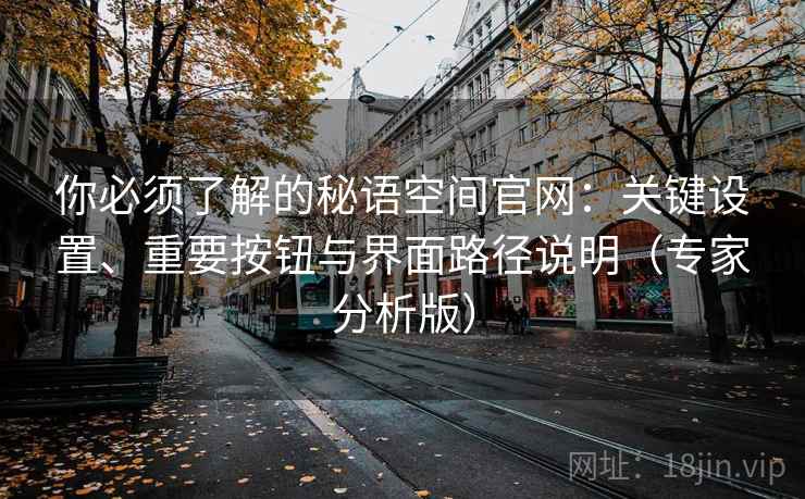 你必须了解的秘语空间官网:关键设置、重要按钮与界面路径说明(专家分析版) 你必须了解的秘语空间官网:关键设置、重要按钮与界面路径说明(专家分析版)