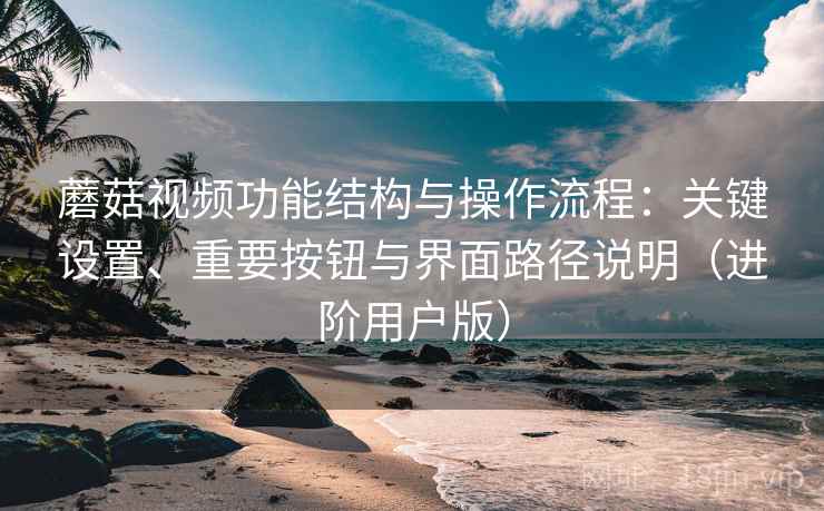 蘑菇视频功能结构与操作流程：关键设置、重要按钮与界面路径说明（进阶用户版）