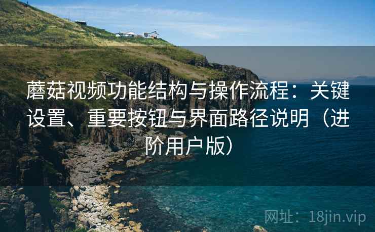 蘑菇视频功能结构与操作流程：关键设置、重要按钮与界面路径说明（进阶用户版）