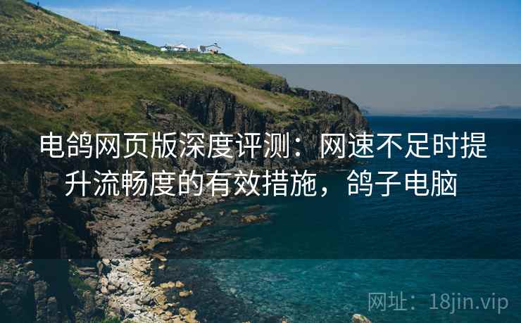 电鸽网页版深度评测：网速不足时提升流畅度的有效措施，鸽子电脑