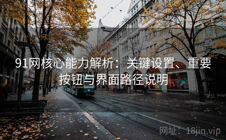 91网核心能力解析：关键设置、重要按钮与界面路径说明