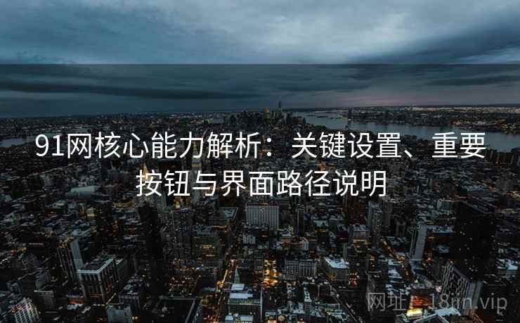 91网核心能力解析：关键设置、重要按钮与界面路径说明