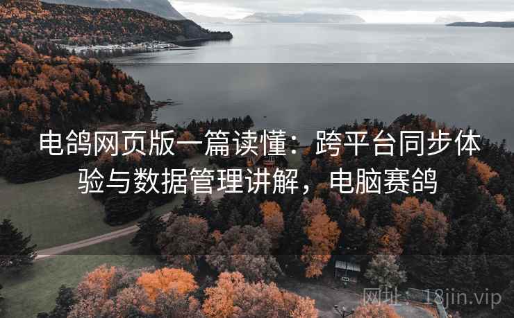 电鸽网页版一篇读懂：跨平台同步体验与数据管理讲解，电脑赛鸽