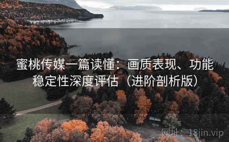蜜桃传媒一篇读懂：画质表现、功能稳定性深度评估（进阶剖析版）