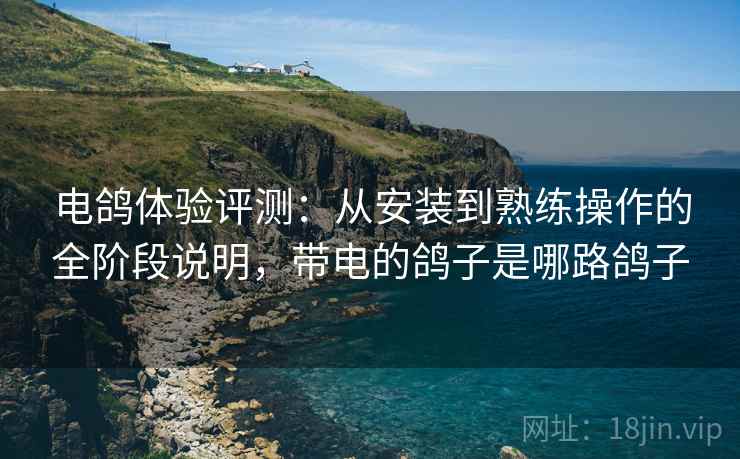电鸽体验评测:从安装到熟练操作的全阶段说明,带电的鸽子是哪路鸽子 电鸽体验评测:从安装到熟练操作的全阶段说明,带电的鸽子是哪路鸽子