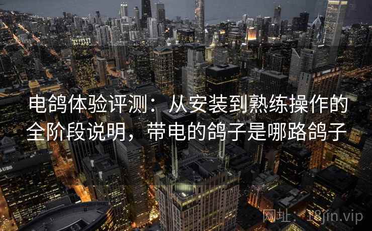 电鸽体验评测:从安装到熟练操作的全阶段说明,带电的鸽子是哪路鸽子 电鸽体验评测:从安装到熟练操作的全阶段说明,带电的鸽子是哪路鸽子